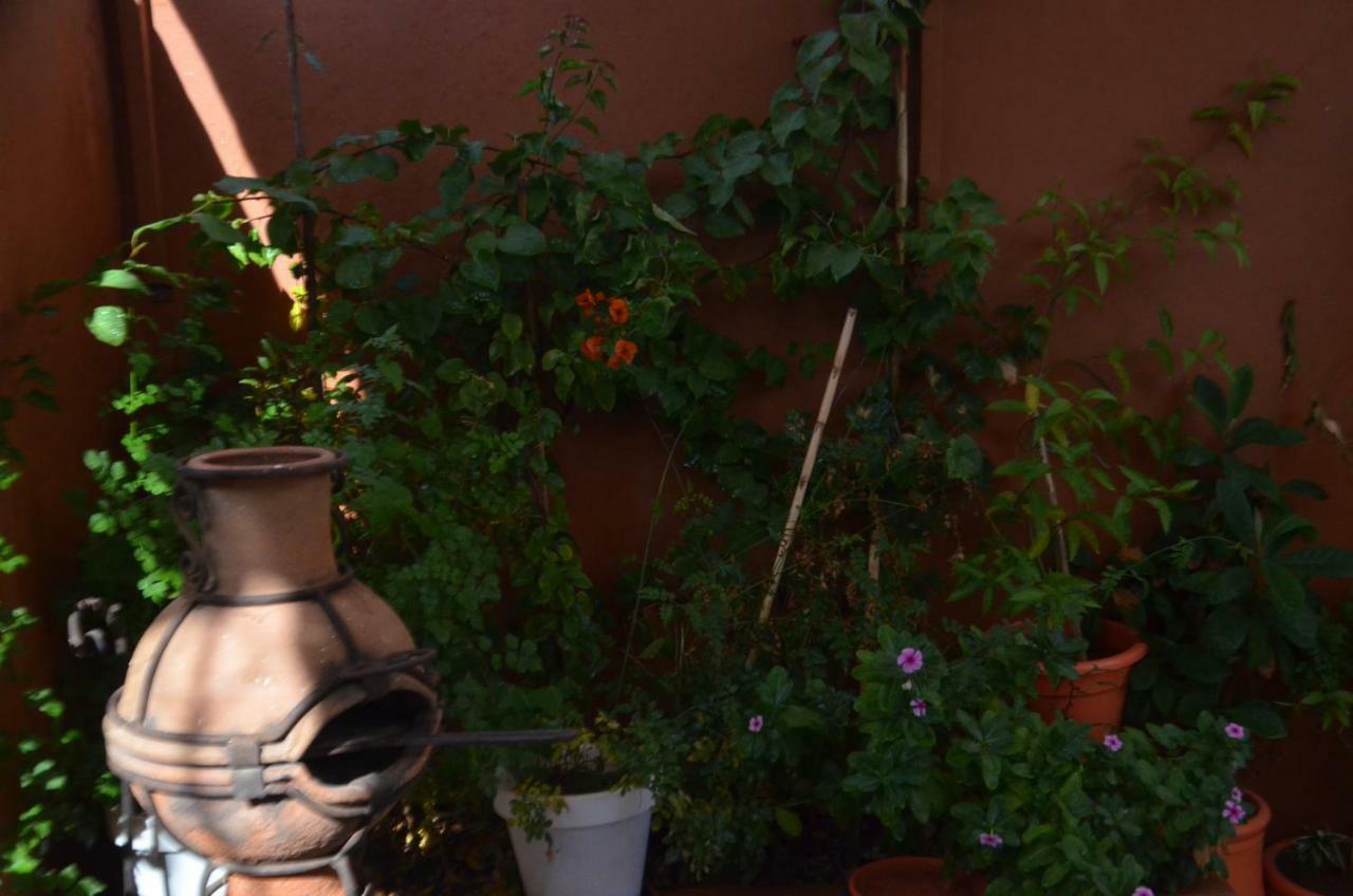 Ayad Pensión Marrakesh